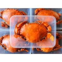 ราคา ปูดำไข่นึ่ง/ปูดำไข่สด (3136298778)