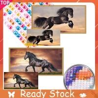 ราคา 2pcs Galid Horse 5D DIY เพชรศิลปะจิตรกรรมชุดสําหรับ Home Office Wall Decor DIY อัญมณีศิลปะเพชรจิตรกรรมชุดเพชรจุดอัญมณี Art 85x45 ซม. (51000576918)