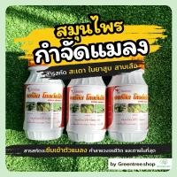 ราคา กำจัดแมลง สมุนไพร กำจัดหนอน เพลี้ย ไร ใช้ฉีดพืชผัก ไม้ใบ ไม้ดอก ปลอดภัยต่อคนและสัตว์เลี้ยง กำจัดแมลงศัตรูพืชทุกชนิด (26911386567)