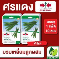 ราคา ผักซอง ศรแดง เมล็ดพันธุ์ พันธุ์ผัก บวบเหลี่ยม ฟาโรห์GG F1 บรรจุแพ็คล่ะ 10 ซอง (28878880985)