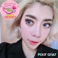 ราคา PitchyLens Pony Eff.19 Gray ใหญ่ (17292836025)