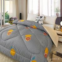 ราคา ผ้านวมฤดูใบไม้ผลิฤดูใบไม้ร่วงฤดูหนาวผ้านวมฤดูหนาวหนา 2025 Four Seasons Universal ผ้านวม Core ผ้านวมนักเรียน Warm ผ้านวมเดี่ยวหอพัก RIMC (28193723552)