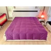 ราคา ผ้านวมขนเป็ด หรือไส้ผ้านวมขนเป็ด ขนาด 5.5-6ฟุต สีม่วงทูโทน ยี่ห้อ PLUS (สภาพใหม่) มือสองสภาพดี สินค้าญี่ปุ่น-เกาหลีแท้ (20409519184)