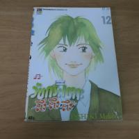 ราคา วัยกระเตาะ ตึ่งตึงตึง the perfect world of KAI เล่ม 12 - การ์ตูนมือสอง (53702733968)