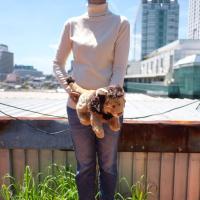 ราคา ตุ๊กตา สิงโต ท่าหมอบ 12นิ้ว Anee Park อานี ปาร์ค (7540972119)