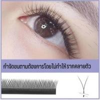 ราคา YY ประเภท grafted ขนตาเด็กอ่อน Curve 0.05 หนาไม่กระเจิงราก BCD ธรรมชาติตุ๊กตาบาร์บี้ขนตาความงามขนตา Store พิเศษ (27053489787)