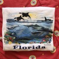 ราคา เสื้อยืดผ้าขาว ลายสกรีนสวย ป้าย Jerzees (3579754885)