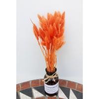 ราคา ดอกหางกระต่าย หญ้าหางกระต่าย ดอกไม้แห้ง ดอกหญ้าแห้ง ย้อมสี+พร้อมแจกัน (23439127278)