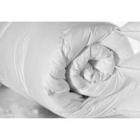 ราคา Lapine ไส้ผ้านวมขนห่านเทียม ขนาด 6ฟุต เกรดโรงแรม 5 ดาว กันไรฝุ่น ขนาด 90x100นิ้ว (8813938106)