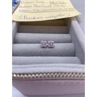 ราคา ต่างหูPandoraแท้ของใหม่ (17192029180)