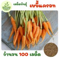 ราคา เมล็ดพันธุ์เบบี้แครอท จำนวน 100 เมล็ด (43877408394)