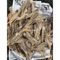 ราคา ปลาทะเลตากแดด (ปลาลิ้นหมาแห้ง) (15532047916)