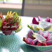 ราคา กิ่งพันธุ์แก้วมังกร หลากหลายสายพันธุ์ (25925058965)