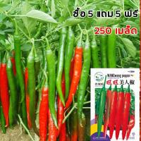 ราคา ซื้อ 5 แถม 5 ฟรี ！250 เมล็ด เมล็ดพันธุ์พริกขี้หนู พริก เรดฮอท เมล็ดพันธุ์อินทรีย์ สามารถขยายพันธุ์ต่อได้ พริก เมล็ดพันธุ (27342700860)