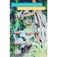 ราคา กระถางกะลาฉลุลายแขวนต้นไม้ Handmade3ชั้น/2ชั้น (20354534338)