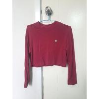 ราคา เสื้อครอปแขนยาว Cps มือสอง (23343683905)