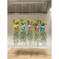 ราคา โมบายช้างใส่เคราฤาษี ตุ็กตาเซรามิกคละสี สำหรับตกแต่งสวน มอสสเปน ไม้ฟอกอากาศกรองฝุ่น Spanish Moss (26232586362)