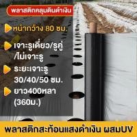 ราคา พลาสติกคลุมดิน 0.8ม.x400หลา(360ม) พลาสติกคลุมแปลง ผ้ายางคลุมดิน ผ้ายางคลุมวัชพืช กันวัชพืช ปลูกผัก (42603207406)
