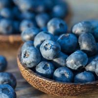 ราคา บลูเบอร์รี่（blueberry seeds）30 เมล็ด เมล็ดพันธุ์ พันธุ์ไม้ผล plants ต้นผลไม้ พันธุ์ไม้หายาก เมล็ด ผลไม้หวาน สวนผลไม้ (15010024956)