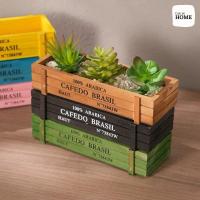 ราคา กระถางต้นไม้ขนาดเล็ก ตั้งโต๊ะทำงาน ในบ้าน ปลูกต้นไม้ขนาดเล็ก ในร่ม | กระถางต้นไม้จิ๋ว กระถางต้นไม้ในร่ม ปลูกกระบองเพชร (26024044686)