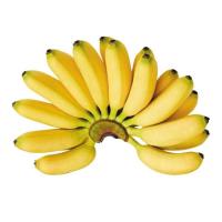 ราคา หน่อกล้วยไข่ พันธุ์กล้วยไข่ (25343612212)