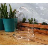 ราคา DIYชุดจัดสวนขวดพร้อมโหลโดมแก้วครอบ *พร้อมส่ง* (2112660798)