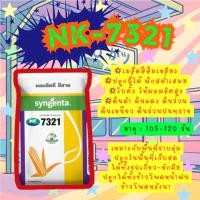ราคา เมล็ดพันธุ์ข้าวโพด เอ็นเค 7321 ขนาด 10 กก. ซินเจนทา ใบตั้ง ปลูกถี่ได้ ฝักสวย ทนโรคคาร์โบนัม (51653401970)