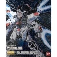 ราคา Mg 1/100 Strike Freedom Gundam Okawara Kunio Ver (23427024859)