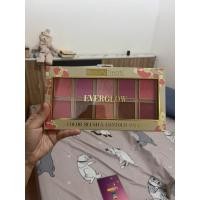 ราคา blush and contour palette ของ beauty treats (26512712290)