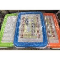 ราคา ถาดฉี่ ถาดฝึกขับถ่าย สุนัข ห้องน้ำสุนัข(สุ่มสี) (2452620640)