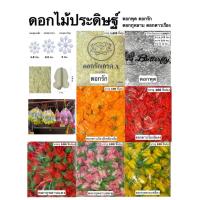 ราคา ดอก ดอกไม้ ดอกรัก ดอกพุด ดอกดาวเรือง ดอกกุหลาบ สีสดใส พวงมาลัย สร้อย ฮาวาย มาลัยคล้องคอ ทำจากผ้าและพลาสติก งานประดิษฐ์ (27235167723)