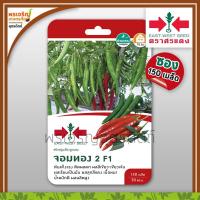 ราคา เมล็ดพันธุ์หนุ่ม พริกหนุ่มเขียว จอมทอง 2 F1 (แบบซอง) เมล็ดพริกหนุ่มศรแดง พริกหนุ่มเขียวลูกผสม เมล็ดพันธุ์คุณภาพ ตราศรแดง (22645281163)