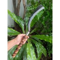 ราคา มีดประขอ มีดพร้า พร้า มีดตัดอ้อย พร้าปลายตัด มีดหวด มีดเดินป่า ใบ 11.4” sup9 ตีร้อนชุบแข็ง ด้ามไม้ไผ่ คอกั่นมีดสแตนเลส (18044817852)