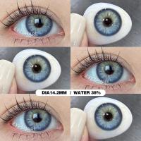 ราคา {COD}-Eyeshare Nicosia คอนแทคเลนส์สีเทา 1 คู่ 14.2 มม.สไตล์ธรรมชาติ คอนแทคเลนส์สีสามารถใช้ได้หนึ่งปี เลนส์แฟชั่นจัดส่งฟร (29568274553)