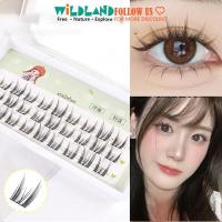 ราคา 3แถวขนตาปลอมแมวเอลฟ์หูธรรมชาติขนตายาวขยาย (26574437524)