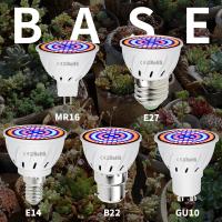 ราคา E27 LED พืชเติบโตหลอดไฟ220V เต็มสเปกตรัม E14 สีแดงสีฟ้า Growthbox MR16 เรือนกระจกเต็นท์ GU10 Succulent Potted Veg ดอกไม้เมล็ด Moss การเพาะปลูก Hydroponic เติมโคมไฟ B22 5W 7W 9W (26529058723)