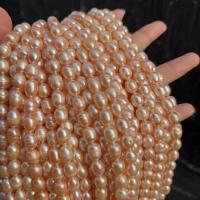 ราคา ขาย 8-9 มม. รูปทรงข้าวจืดน้ําจืดจากธรรมชาติแท้เส้นมุก (18161600861)