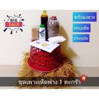 ราคา ชุดเพาะเห็ดฟางสำเร็จรูป พร้อมตะกร้า 1 ใบ อุปกรณ์ครบเซ็ต มีคู่มือขั้นตอนการเพาะตั้งเรื่มจนถึงเก็บผลผลิต (2493974630)