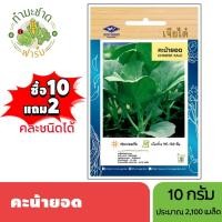 ราคา เจียไต๋ (ซื้อ10แถม2) เมล็ดพันธุ์ คะน้ายอด ขนาด10กรัม ประมาณ2,190เมล็ด Chinese Kale คะน้า เมล็ดพันธุ์พืช เมล็ดผัก ปลูกผัก (3718012163)