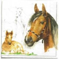 ราคา Pladao Napkin ภาพสัตว์ ภาพวาดลานเส้น Horse ม้า ภาพร่าง กระดาษ แนพกิ้น สำหรับงานศิลปะ เดคูพาจ decoupage ขนาด M 25x25 (17688554731)