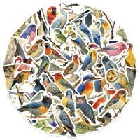 ราคา สติ๊กเกอร์ น้องนก 212 นกแก้ว 50ชิ้น มาคอร์ ฟอพัส ซันคอนัวร์ หงหยก bird parrot parakeet กรงหัวจุก hummingbird พิราบ (26339691155)