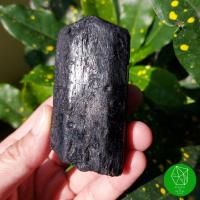 ราคา ผลึกแบล็คทัวร์มาลีนดิบธรรมชาติ Black Tourmaline (17291593505)