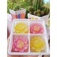 ราคา กล่องใส่ขนม 4 ช่อง 100 ชุด ฝาล็อค ปิดแน่น กล่องพลาสติก 4 ช่อง ฐานขาว ขนาดต่อช่อง 5×5 ซม. กล่องวุ้น กล่องขนมชั้น (21074481383)