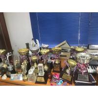 ราคา ถ้วยรางวัล มือสอง ขายเท ราคาถูก อยากได้ชิ้นไหนทักแชท (22233222574)