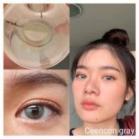 ราคา Guess Secrets Ceencon ( Ava ) Sweety soft brown gray blue สายตา -00 ถึง -1000 Ceen con Contactlens บิ๊กอาย คอนแทคเลนส์ (7454398233)