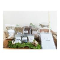 ราคา ชุดจัดสวนในขวดแก้ว (ทรงสี่เหลี่ยม) Terrarium ขนาด 3.5x4นิ้ว(Inch) ราคาประหยัด DIYสวนในขวดแก้ว เซ็ทนี้มีเฉพาะขวดโหล (10378079844)