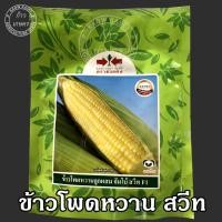ราคา เมล็ดข้าวโพด ศรแดง 200 กรัม ข้าวโพดหวาน จัมโบ้ ข้าวโพดซุปเปอร์ สวีท (3673707375)