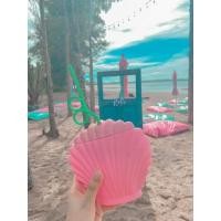 ราคา แก้วฝาหอยสีชมพู แก้วน้ำฝาหอยสีชมพู (4341404056)