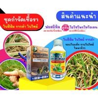 ราคา ชุดกำจัดเชื้อราในนาข้าว ฟอสอีทิล+ไอโซโพรไปโอเลน 1กิโลกรัม+1ลิตร (ตราไก่เกษตร) ใบสีส้ม ขอบใบแห้ง กาบใบไหม้ในนาข้าว (26553686616)