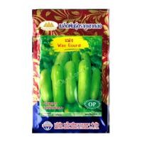 ราคา เมล็ดแฟง Wax Gourd เมล็ดพันธุ์แฟง แฟงใส้ตัน เมล็ดแฟงใส้ตัน แฟง ตราภูเขาทอง (7858888561)